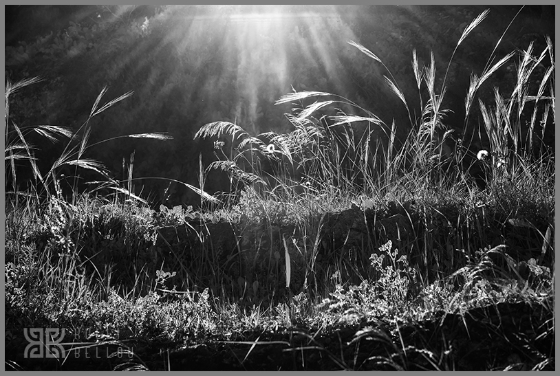 � Kalli Bellou / www.kallibellou.com